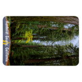 Rechtstreekse weg door Misty Redwood Forest Magneet (Horizontaal)