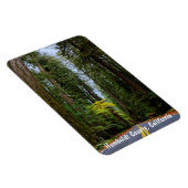 Rechtstreekse weg door Misty Redwood Forest Magneet (Rechterzijde)