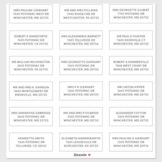 Recipient Name 18 Shipping Large Address Labels (Vel)