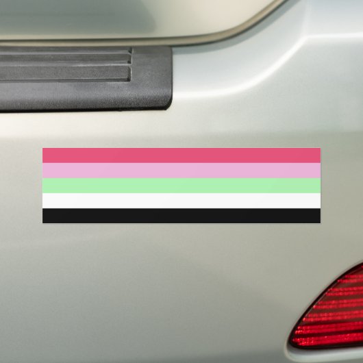 Recipromantische Pride Bumpersticker (Op auto)