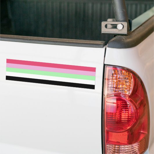 Recipromantische Pride Bumpersticker (Op Truck)