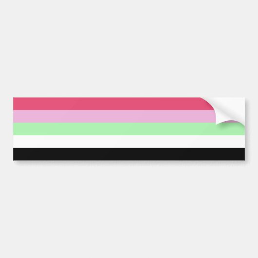 Recipromantische Pride Bumpersticker (Voorkant)