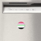 Recipromantische Pride-vlag Magneet (Insitu (Vaatwasser))