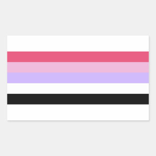 Reciproseksuele Pride Rechthoekige Sticker