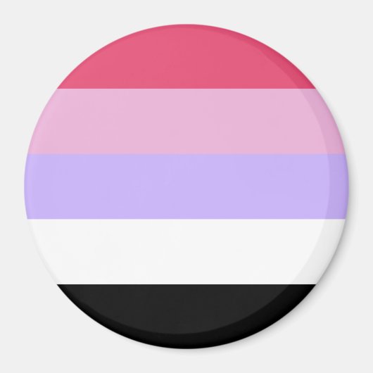 Reciproseksuele Pride-vlag Magneet (Voorkant)