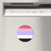 Reciproseksuele Pride-vlag Magneet (Insitu (Vaatwasser))