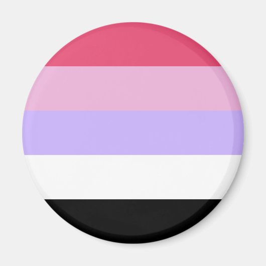 Reciproseksuele Pride-vlag Magneet (Voorkant)