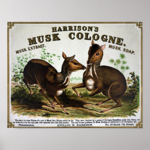  reclame in Keulen Poster