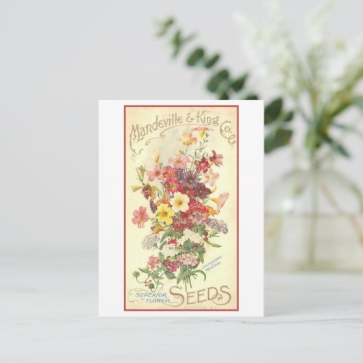  reclame Mandeville bloemzaden Briefkaart (Staand voorkant)