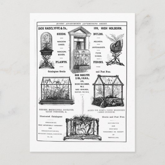 Reclame voor "Dick Radclyffe & Co." Rustische adve Briefkaart (Voorkant)