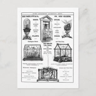 Reclame voor "Dick Radclyffe & Co." Rustische adve Briefkaart