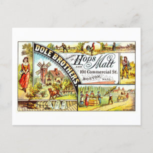 reclame voor Dole Bros. Hop en mout Briefkaart