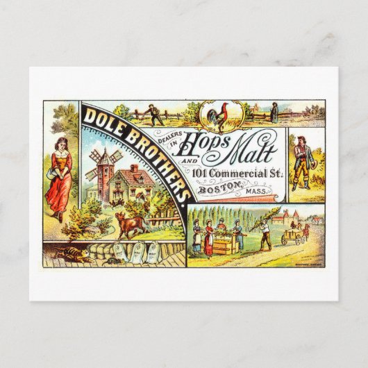 reclame voor Dole Bros. Hop en mout Briefkaart (Voorkant)