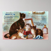  reclame voor Hoyt in Keulen Poster (Voorkant)