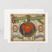  reclame voor rijpe rode tomaten briefkaart (Voorkant / Achterkant)