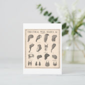  reclame voor Theatrale pruiken + Beards Briefkaart (Staand voorkant)