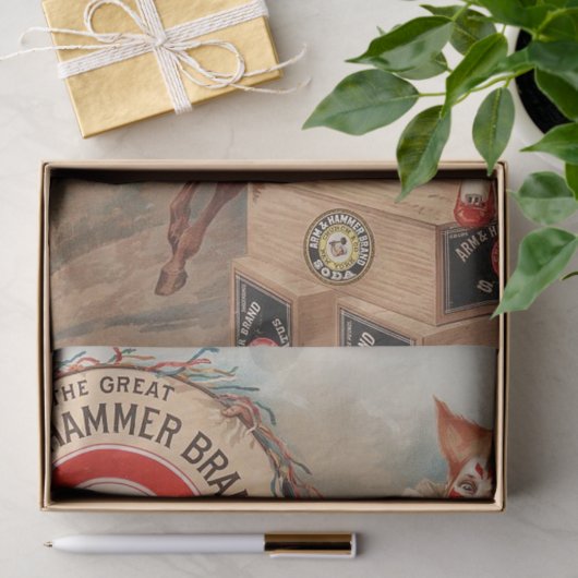  reclamebedden en Ballerina Circus Tissuepapier (Geschenk)