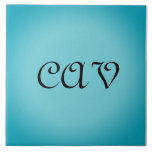 Recoleta Cornflower Blauw Tegeltje<br><div class="desc">Deze prachtige korenbloem blauwe deken houdt je warm als je blauw bent. Het kan ook worden gepersonaliseerd om het uw eigen unieke deken te maken</div>