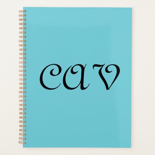 Recoleta korenbloem blauwe  planner (Voorkant)
