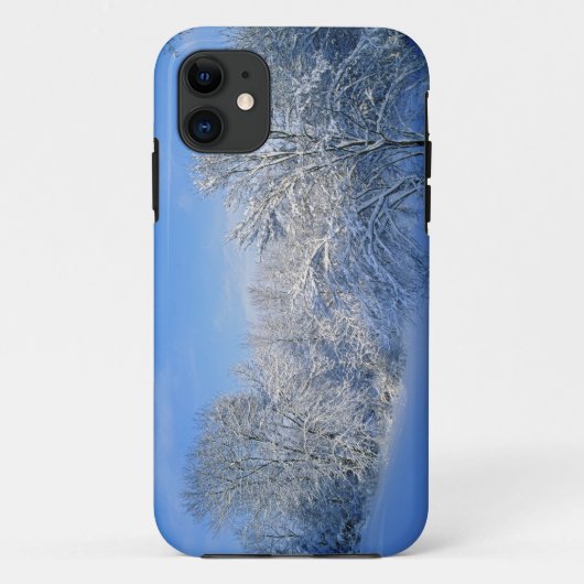 Record sneeuw in Louisville, Kentucky. Case-Mate iPhone Case (Achterkant)
