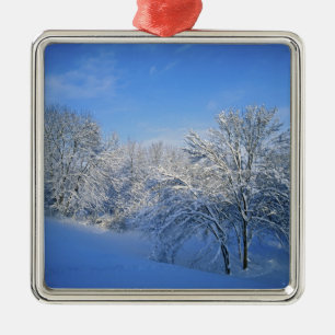 Record sneeuw in Louisville, Kentucky. Metalen Ornament