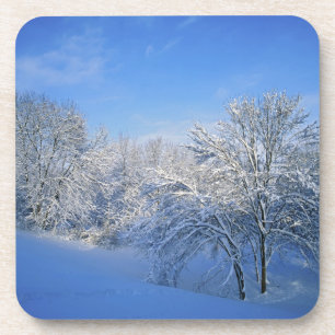Record sneeuw in Louisville, Kentucky. Onderzetter