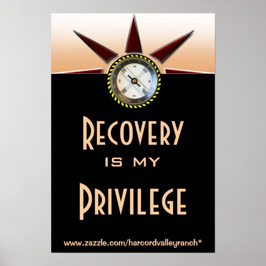Recovery is mijn privilege poster (Voorkant)