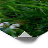 Recovery Tomorrow Poster (Hoek)