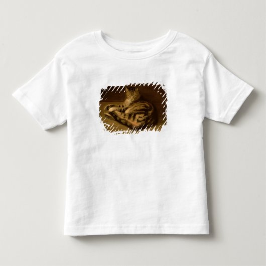 Recumbent Cat, 1898 Kinder Shirts (Voorkant)
