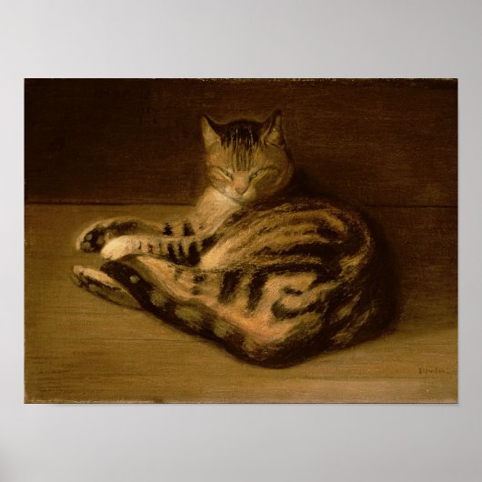 Recumbent Cat, 1898 Poster (Voorkant)
