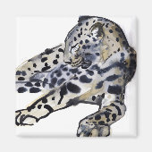 Recumbent Magneet (Voorkant)