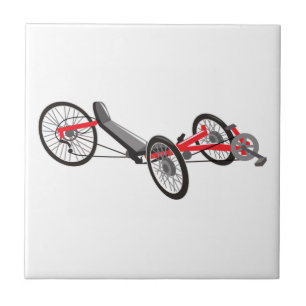 Recumbent Trike Tegeltje