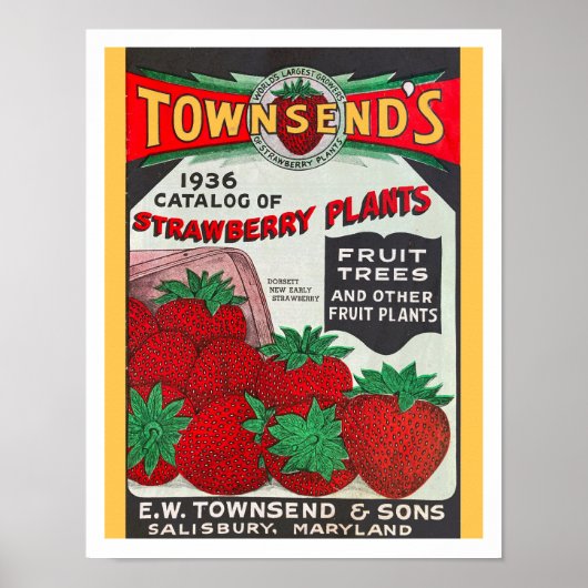 RECYCLED ART: SEED CATALOG 1936 POSTER (Voorkant)