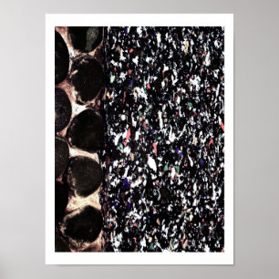 Recyclen ~ Pring / Poster / fotografie