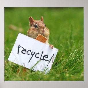 Recyclingchipmunk Poster