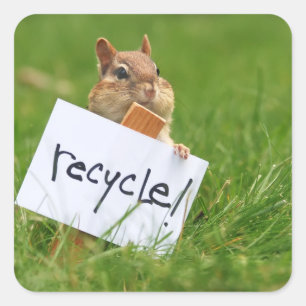 recyclingchipmunk vierkante sticker