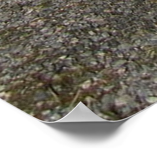 Red 50-negen poster (Hoek)