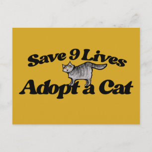 Red 9 levens Adopteer een kat Briefkaart