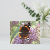 Red Admiral Briefkaart (Staand voorkant)