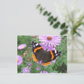 Red Admiral Butterfly Briefkaart (Staand voorkant)