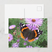Red Admiral Butterfly Briefkaart (Voorkant / Achterkant)