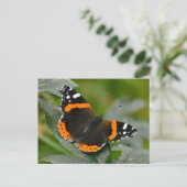 Red Admiral Butterfly Briefkaart (Staand voorkant)