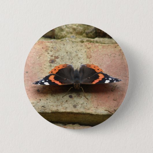 Red Admiral Butterfly Button (Voorkant)
