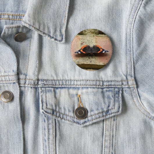 Red Admiral Butterfly Button (In situ)