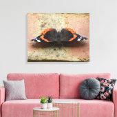 Red Admiral Butterfly Canvas Afdrukken (Insitu (Woonkamer))