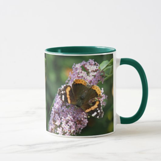 Red Admiral Butterfly en Boeddleia Mok (Rechts)