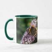 Red Admiral Butterfly en Boeddleia Mok (Links)