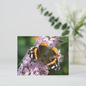 Red Admiral Butterfly en Buddleia Briefkaart (Staand voorkant)