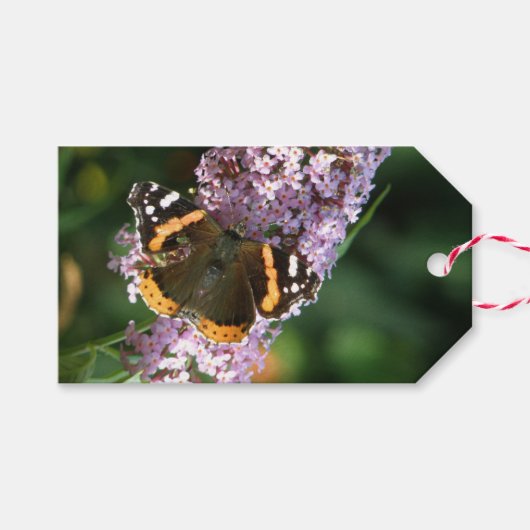 Red Admiral Butterfly en Buddleia Custom Gift Labe Cadeaulabel (Voorkant (Horizontaal))