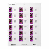 Red Admiral Butterfly Etiket (Full Sheet)